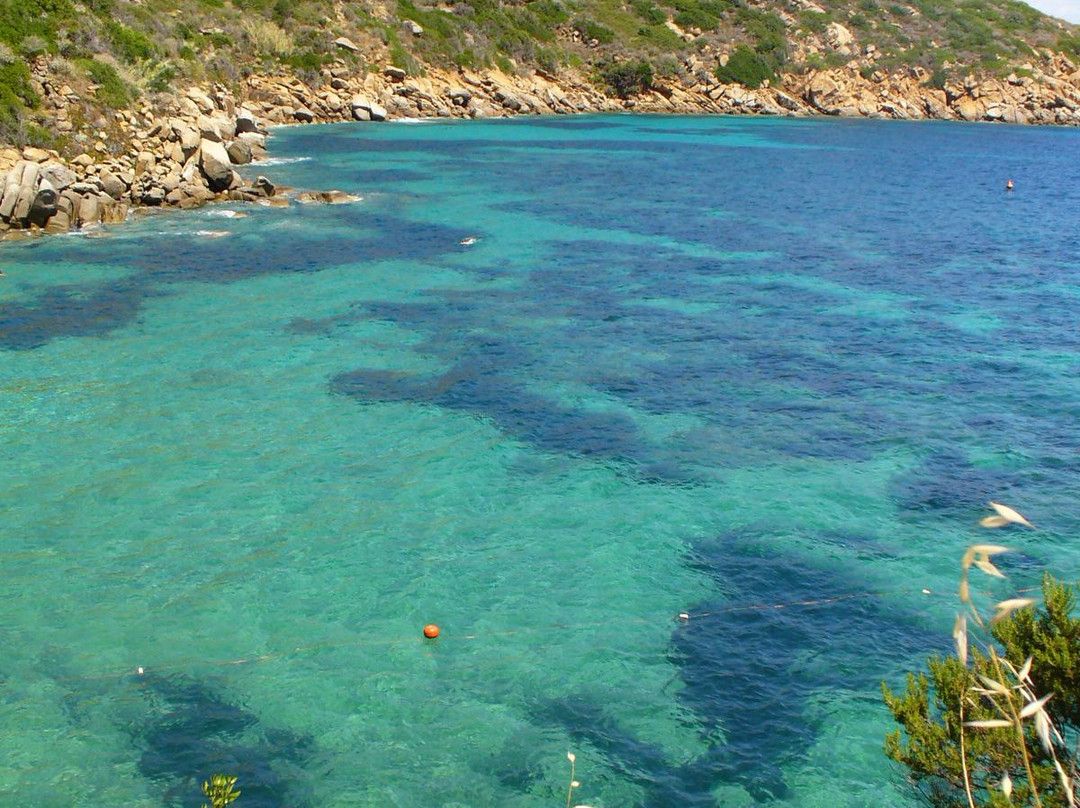 Spiaggia delle Caldane-Isola del Giglio必去景点