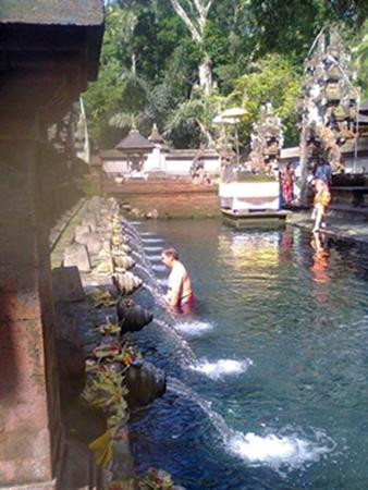 Bali Tourist Information景点图片