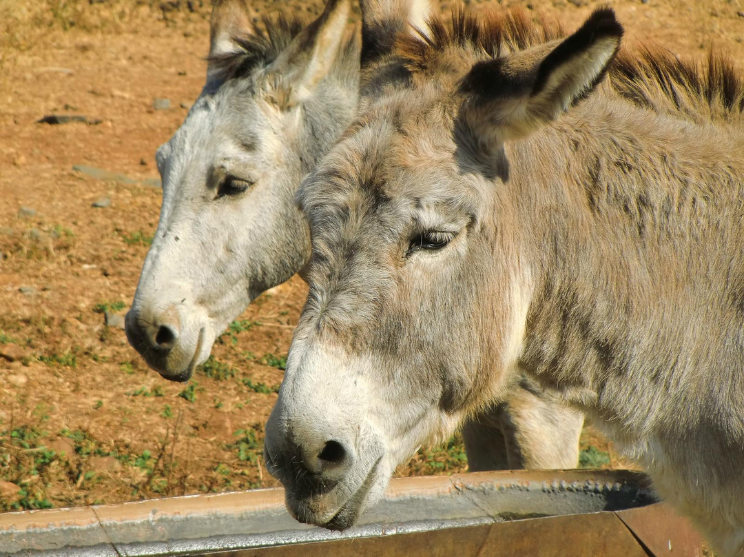 Mokopane Biodiversity Conservation Centre-Mokopane必去景点