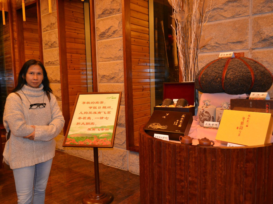 梅州雁南飞围龙大酒店主图