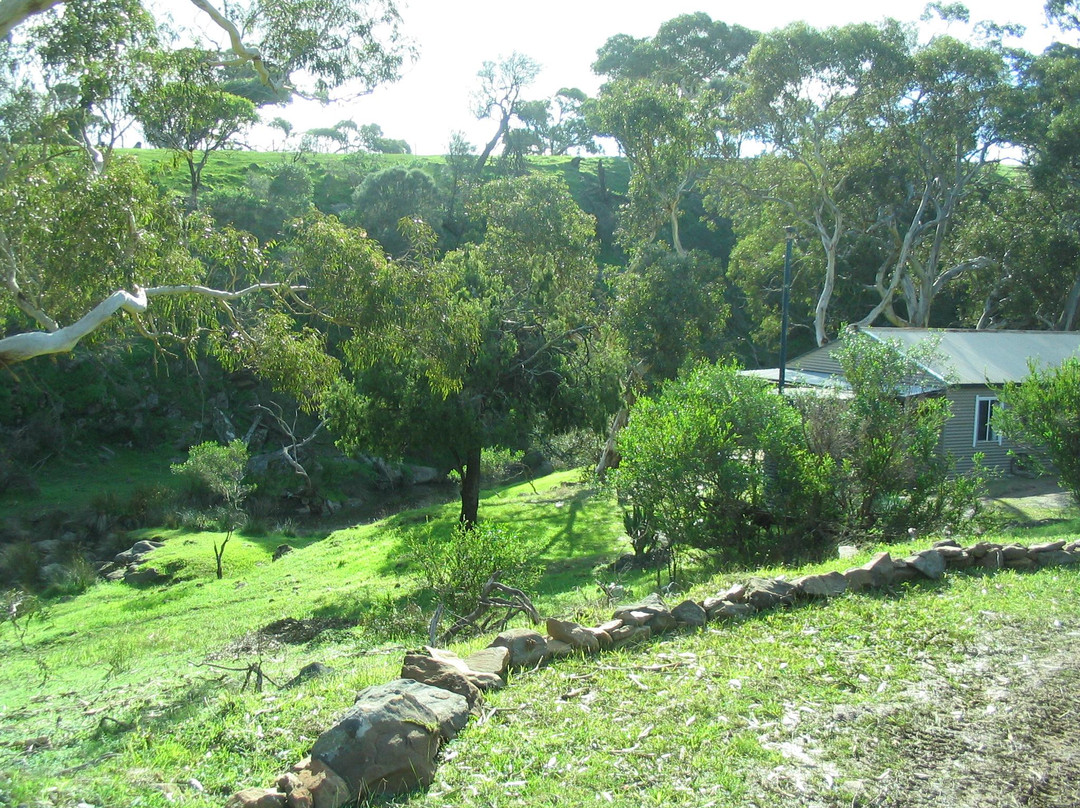 Waitpinga Farm Quad Bike Adventures-Waitpinga必去景点