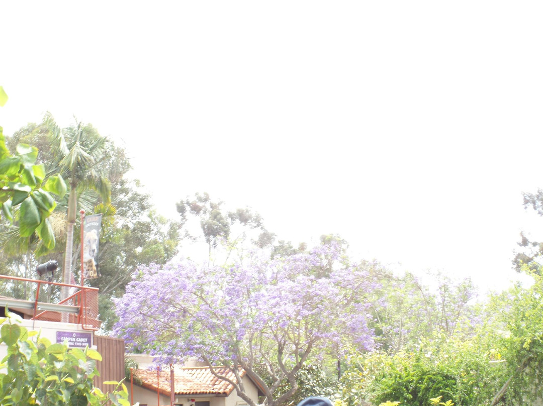 圣地亚哥动物园-圣地亚哥必去景点