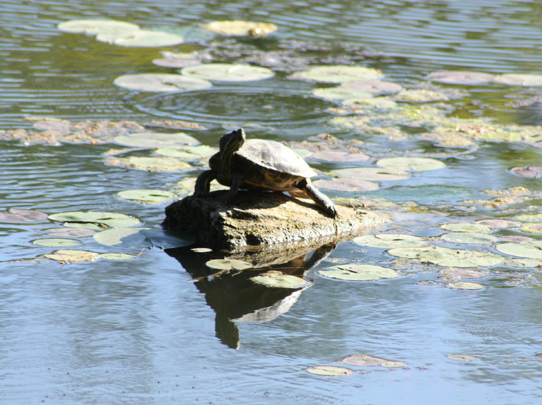 Springwater Conservation Area-Aylmer必去景点