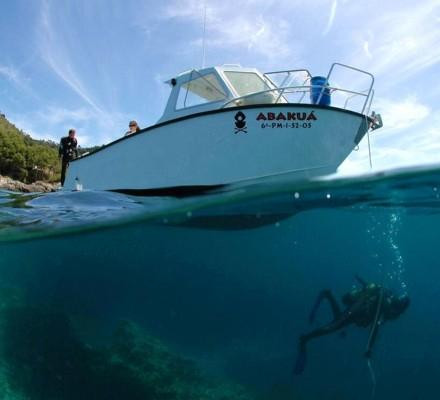 Albatros Diving