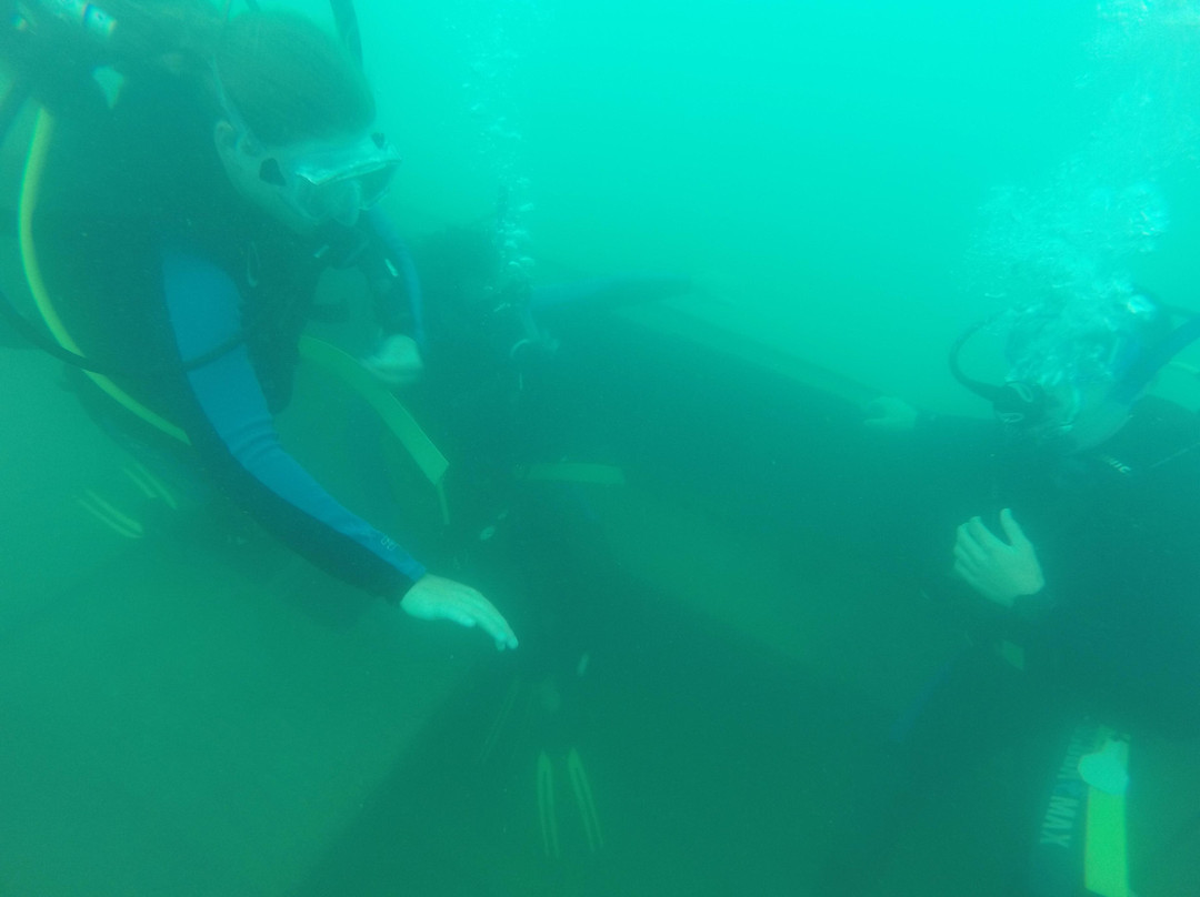 Texan Scuba Inc-Huntsville必去景点