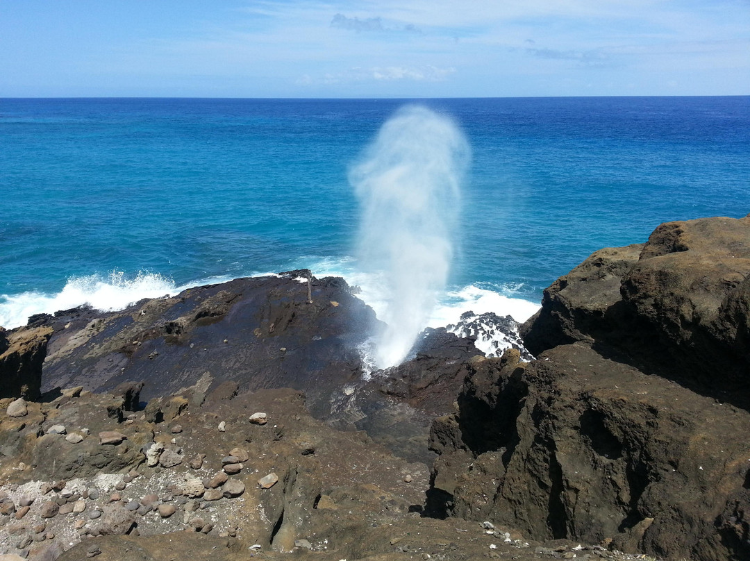 Adventure Tours Hawaii-瓦胡岛必去景点