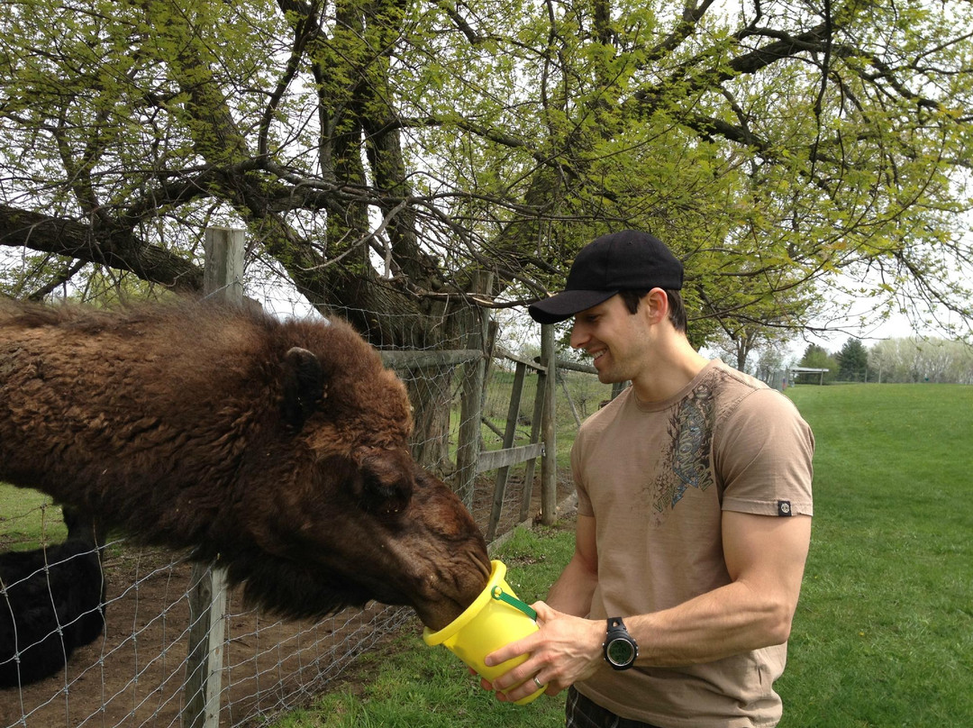 Oshawa Zoo-奥沙瓦必去景点