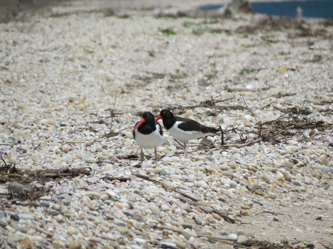 Orient Beach State Park-Orient必去景点