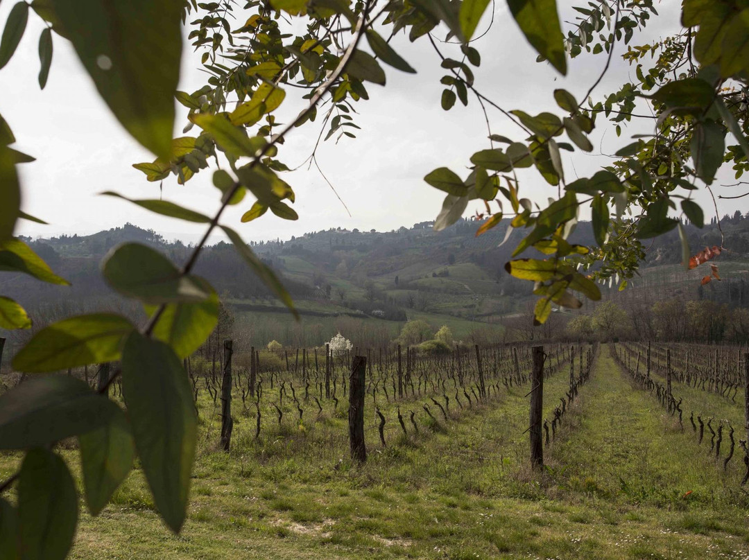 Agriturismo Tenuta Serravalle主图