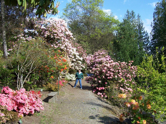 Whitney Gardens and Nursery-Brinnon必去景点