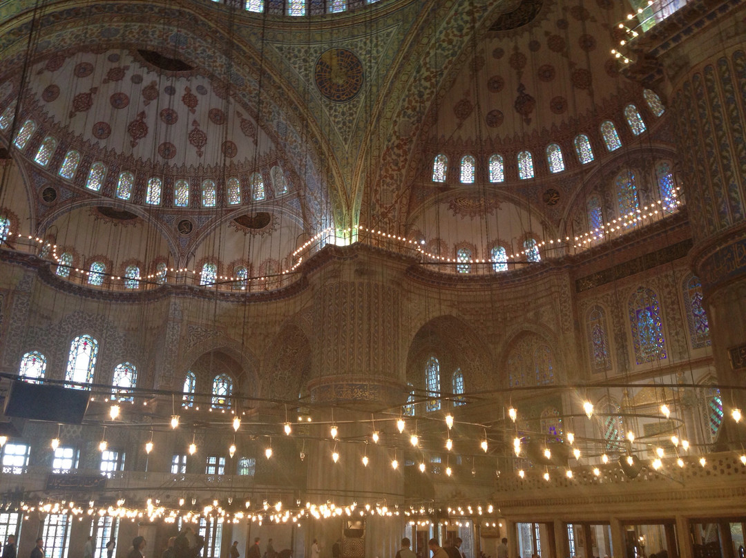 Sultan Ahmed Shah Mosque景点图片