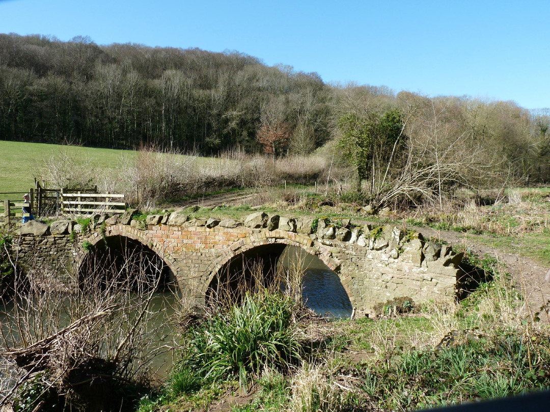 Knapp & Papermill Reserve景点图片