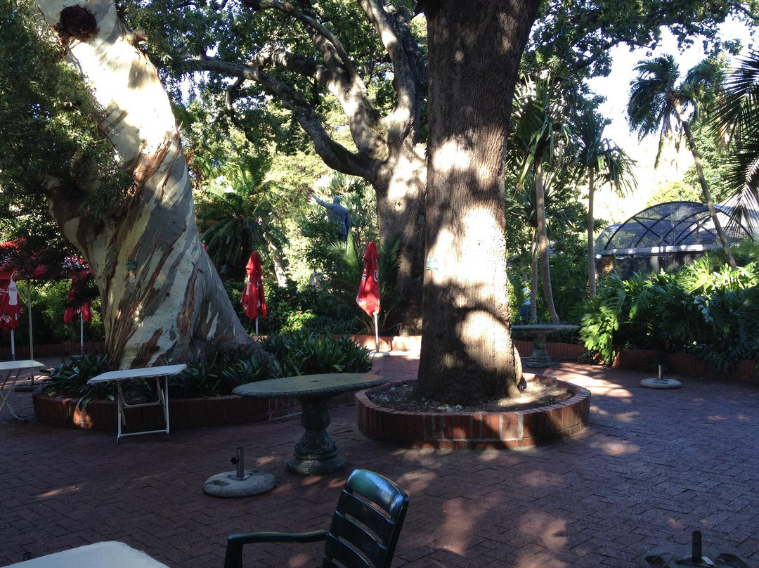 Company's Gardens-开普敦中心区必去景点