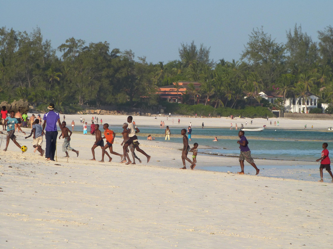 Spiaggia delle Tartarughe-瓦塔木必去景点