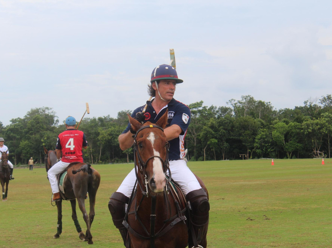 El Rey Polo Country Club-从莫雷洛斯港必去景点