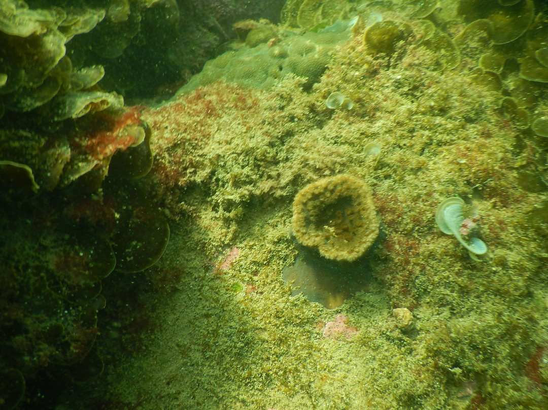 Malvan Marine Sanctuary景点图片