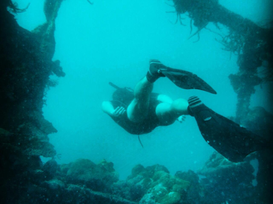 Just One Breath Freediving-科隆必去景点