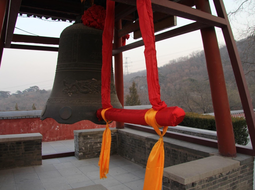 戒台寺古松-北京市必去景点