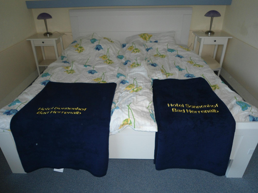 Hotel Sonnenhof garni主图