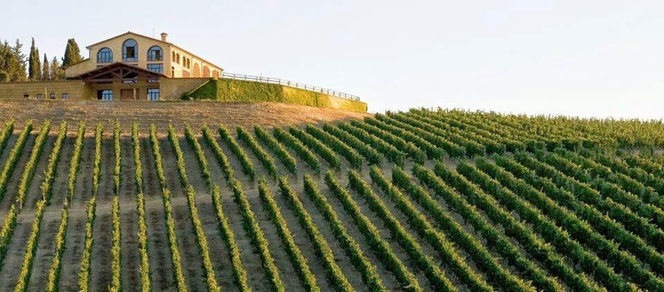 Azienda Agricola Castelvecchio主图