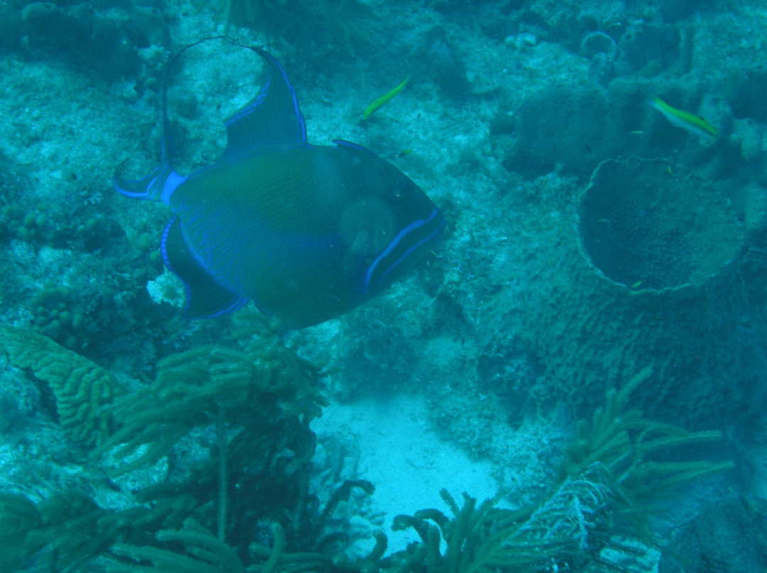 Ti'bulles-Grand Bourg必去景点