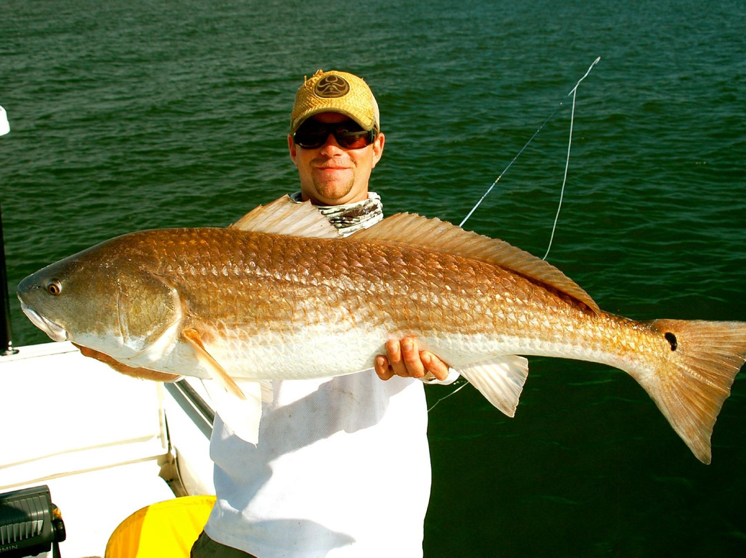 My Fishing Adventures Fishing Charters景点图片