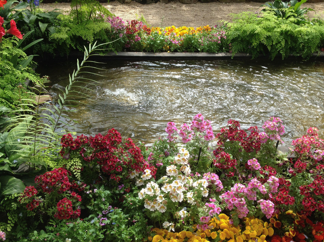 菲茨罗花园-墨尔本必去景点