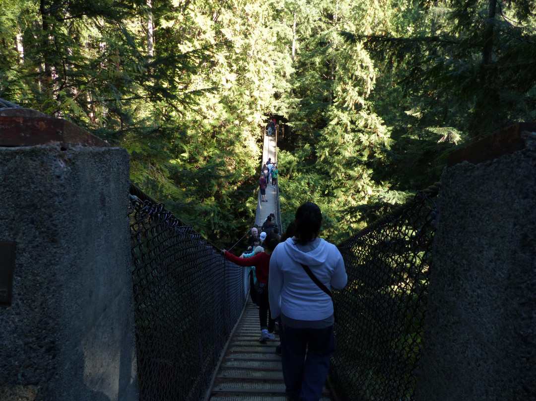 Lynn Canyon Suspension Bridge-北温哥华必去景点