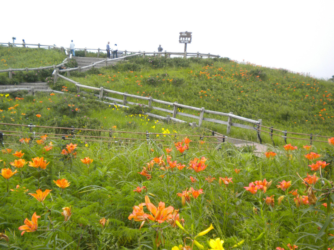 小清水原生花園-小清水町必去景点