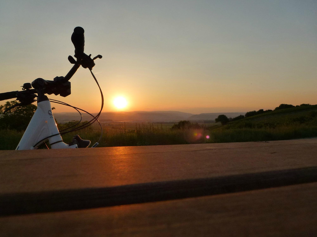 纳黑塔尔小酒馆酒店主图