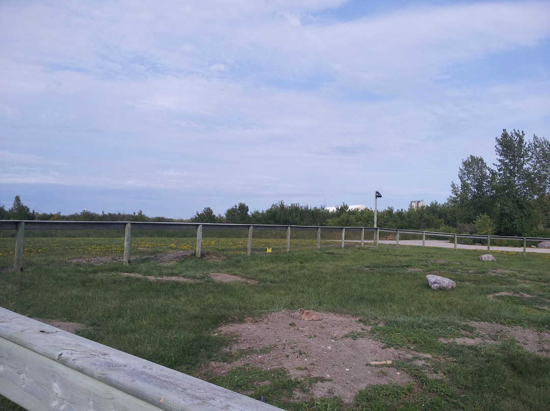 Fort Whyte Alive-温尼伯必去景点