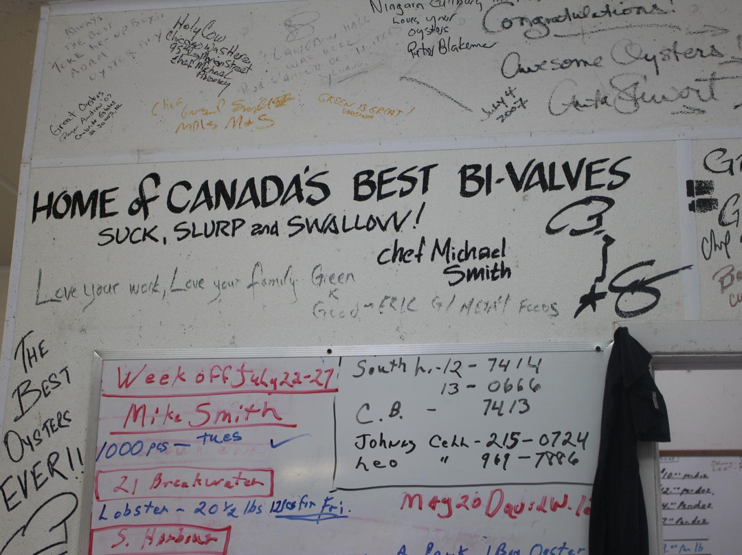 Colville Bay Oyster Company-Souris必去景点