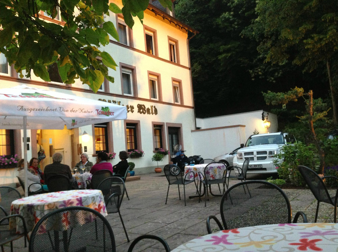 Hotel Pfalzer Wald主图