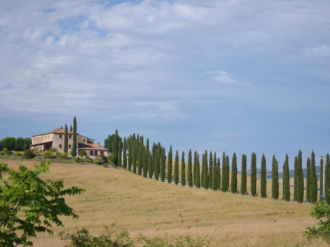 Tuscany Car Tours-佛罗伦萨必去景点