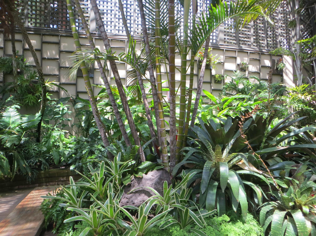 Botanical Building and Lily Pond-圣地亚哥必去景点