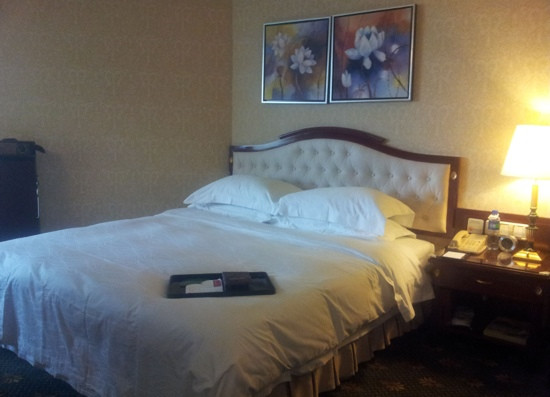 武汉天禄华美达广场酒店主图