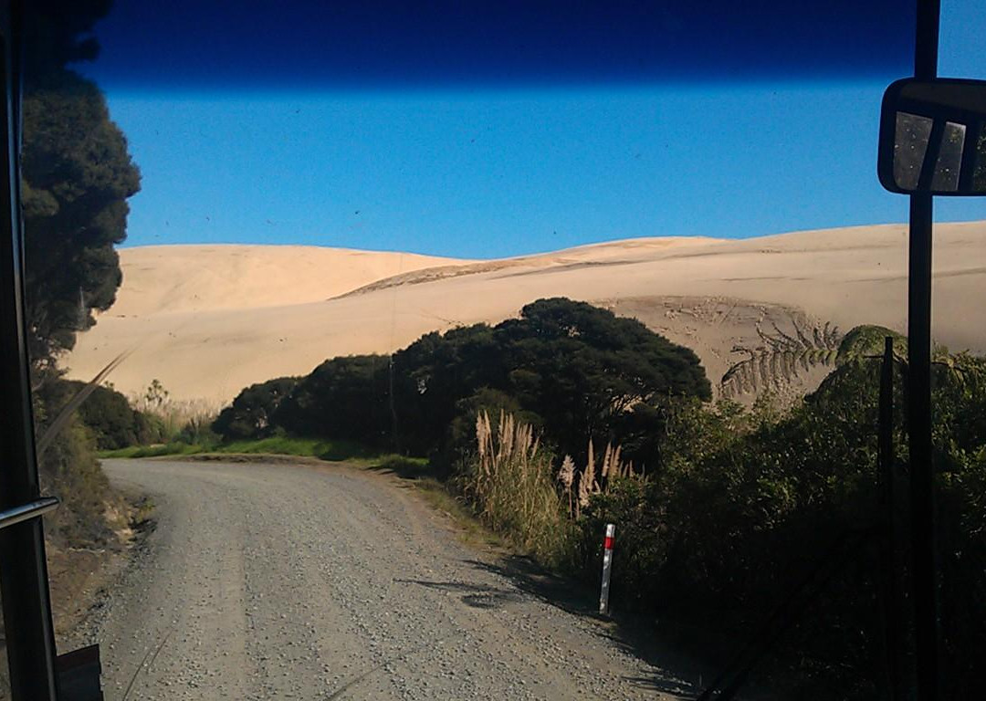 Sand Safaris Cape Reinga 90 Mile Beach Tours-凯塔亚必去景点