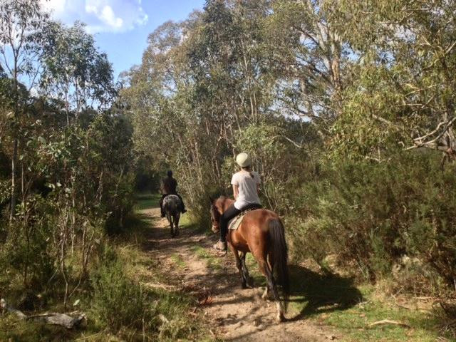 Horse Riding at Pender Lea-Crackenback必去景点