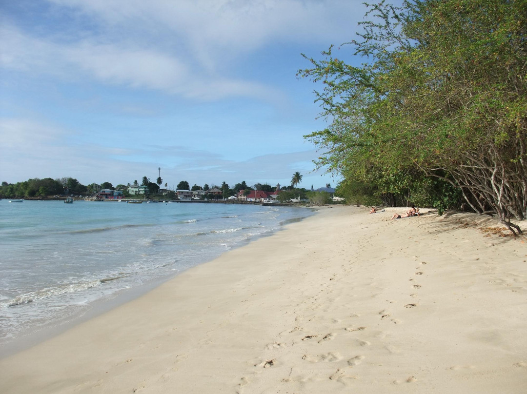 The Seaside Garden Guesthouse主图