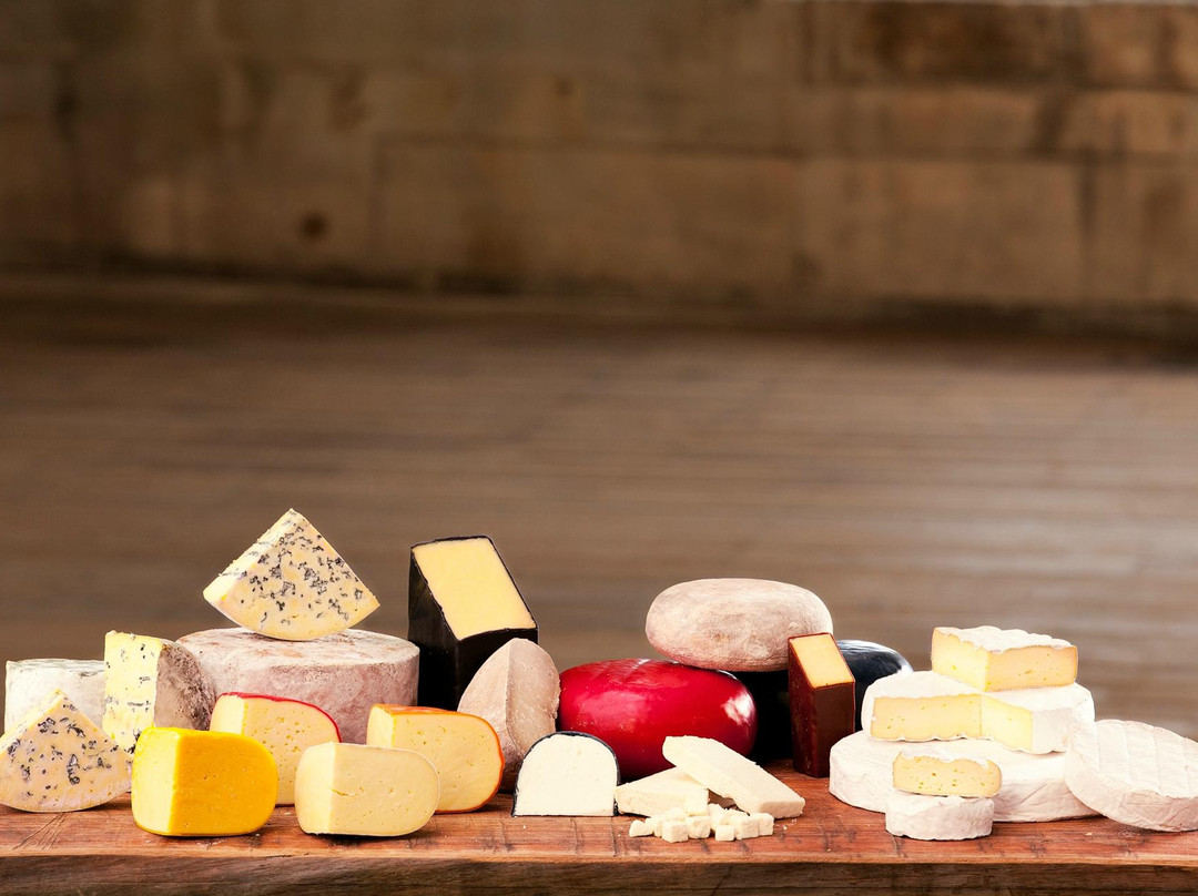 Whitestone Cheese Co.-奥马鲁必去景点