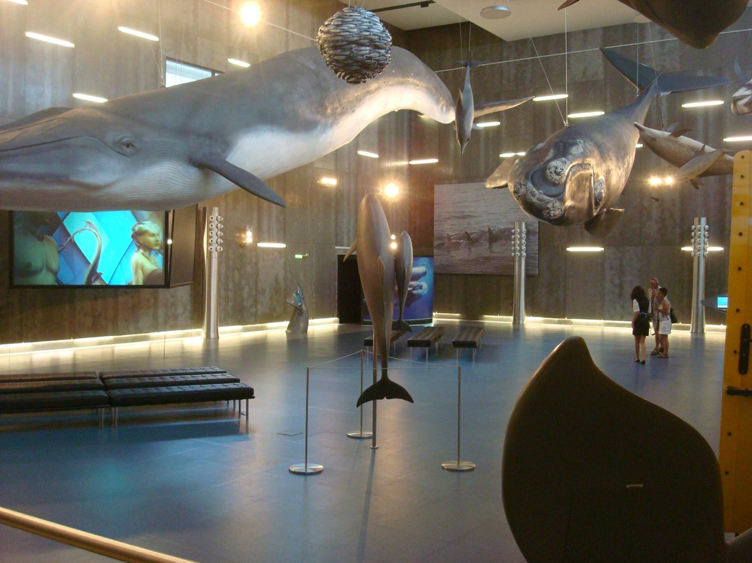 Museu da Baleia da Madeira景点图片
