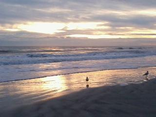 Famous Shores Motel主图