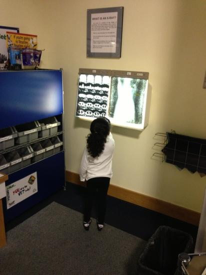 Children's Museum of Acadiana景点图片