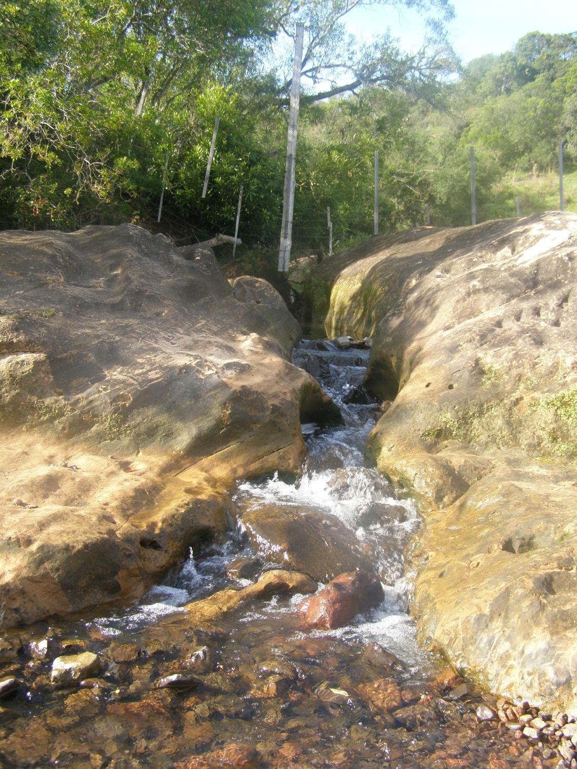 Posada Valle Eden-客卧