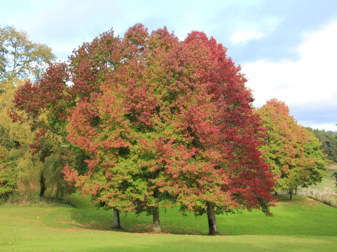 Dartington Estate And Gardens-Dartington必去景点