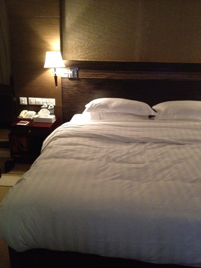 南航明珠国际酒店主图