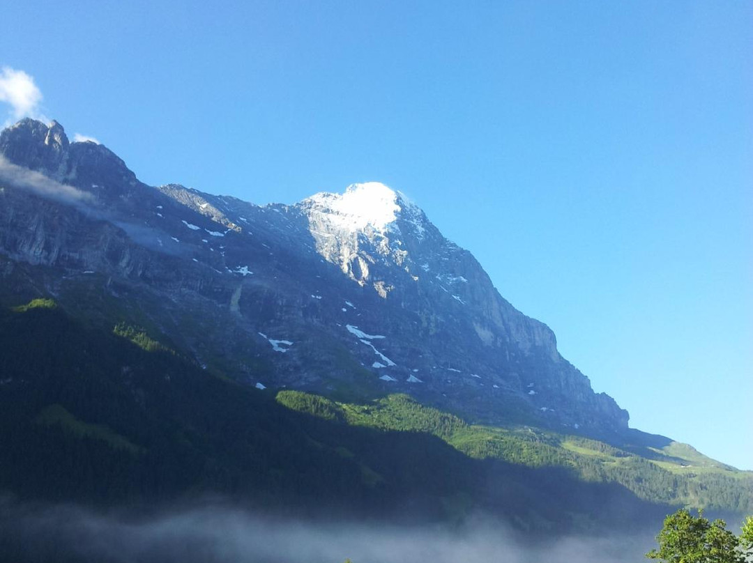 中央沃尔特酒店