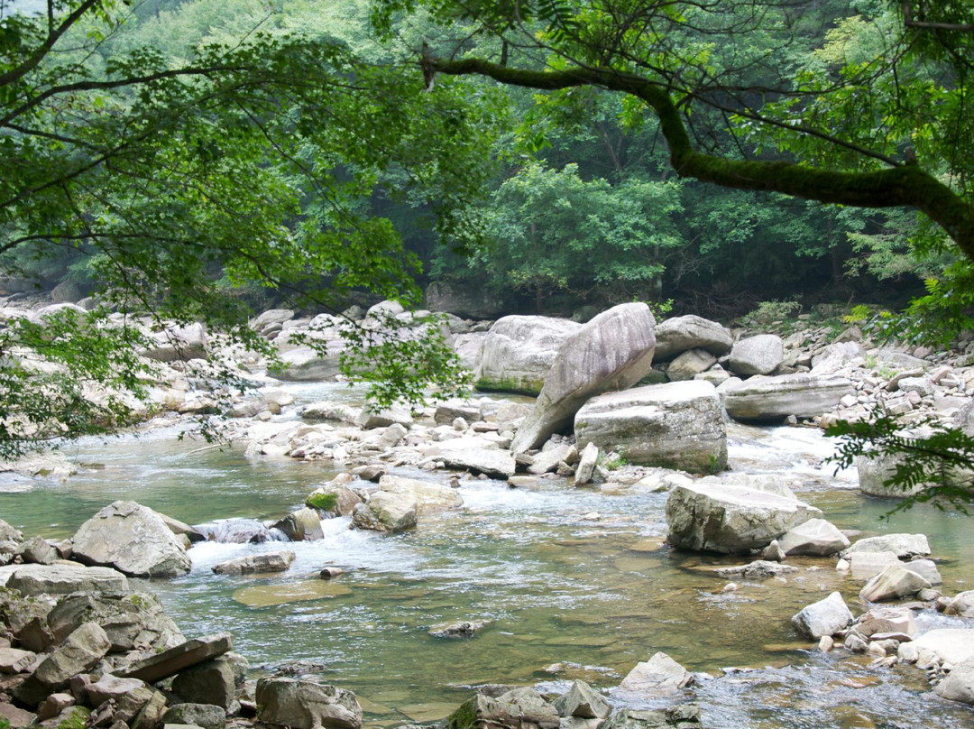 黎坪森林公园景点图片