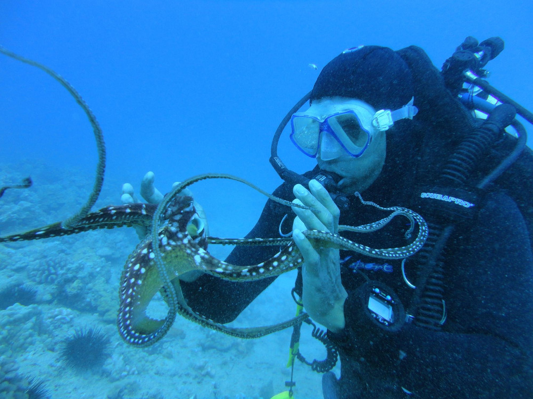 夏威夷彩虹潜水呼吸器-火奴鲁鲁必去景点