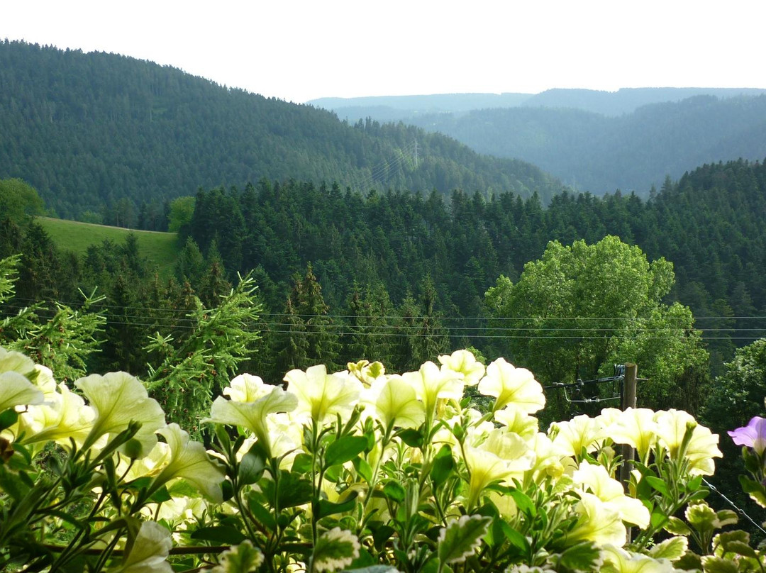 Biohof Herrenweg主图